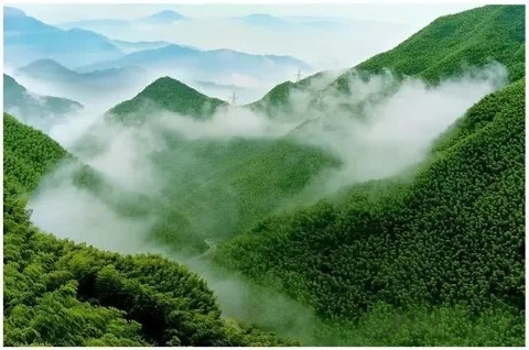 遠離城市喧囂，到江南的山水田園間遇見清新生活