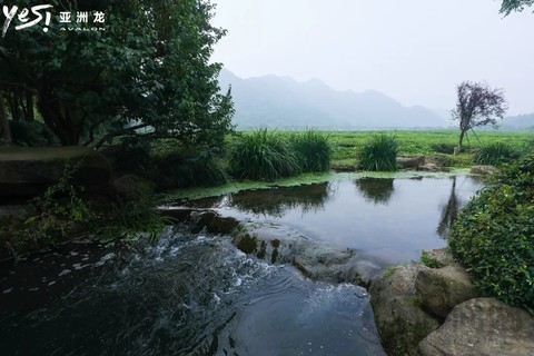 杭州自駕這樣玩，大概是治療夏日綜合征的最佳療法！