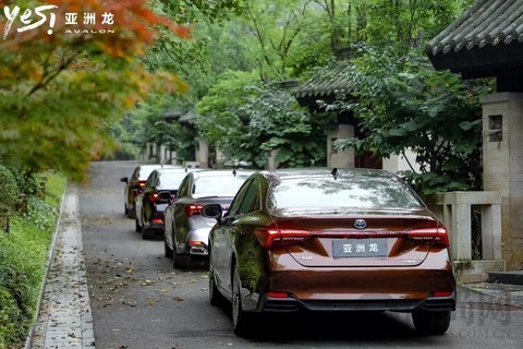 打卡网红4D城市的新玩法，我们帮你找到了！