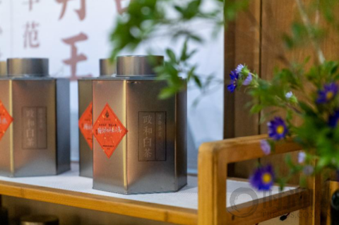 「 以茶為名，致敬經(jīng)典」-  國(guó)禮級(jí)茶品“隆合茶業(yè)”攜新品亮相茶博會(huì)