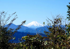 東京的大自然 八王子?高尾山地區