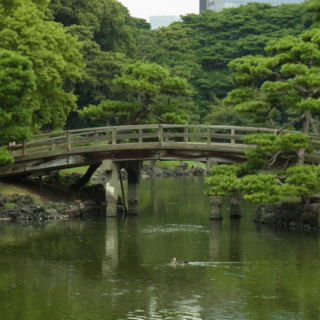 浜離宮恩賜庭園——體驗傳統日本庭院文化