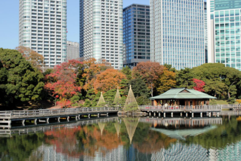 浜离宮恩赐庭园——体验传统日本庭院文化