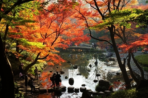 浜离宮恩赐庭园——体验传统日本庭院文化