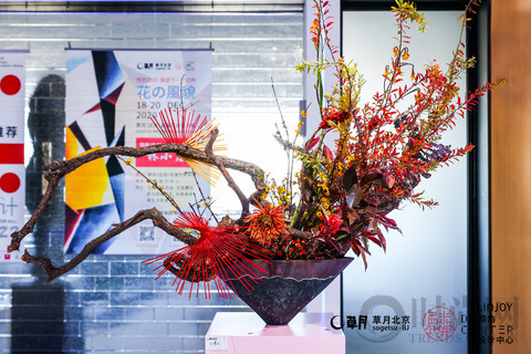 林小蕙用草月流花道藝術(shù)展演活動(dòng)， 告別2020, 并展望下一個(gè)10年