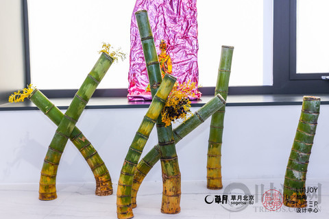 林小蕙用草月流花道藝術(shù)展演活動(dòng)， 告別2020, 并展望下一個(gè)10年
