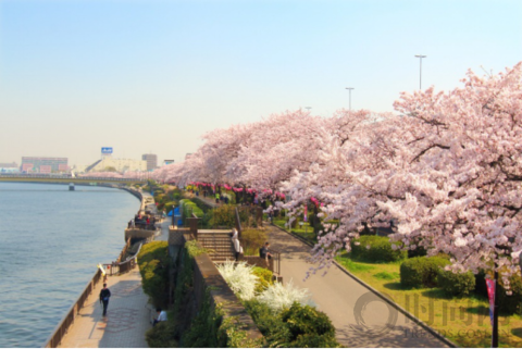 2020年东京新景点 连接浅草与东京晴空塔®  漫步古街与新城