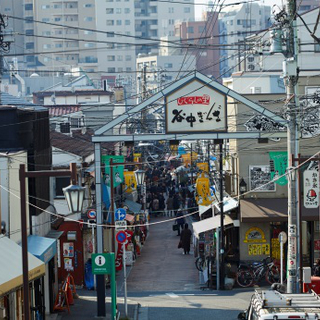 东京观光信息 “谷根千”区域，同时观赏昭和时代的下町风景，以及现代艺术景点的街头漫步路线