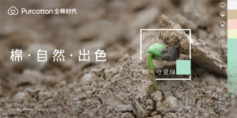 全棉時代在京舉行“棉·自然·出色”發(fā)布會，引領(lǐng)全棉生活守護地球