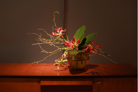 《體物變奏 New objects transformation》當下生活美學展在望京利星行文化藝術中心開幕