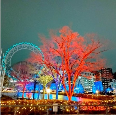 東京冬日彩燈