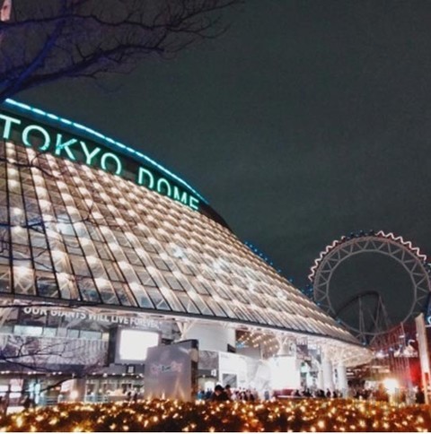 東京冬日彩燈