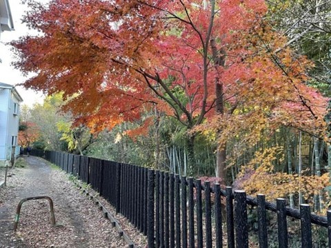 那些東京跑友最中意的跑道