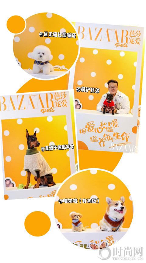 芭莎宠爱首次亮相上海宠物时装周，持续传递无限宠爱！