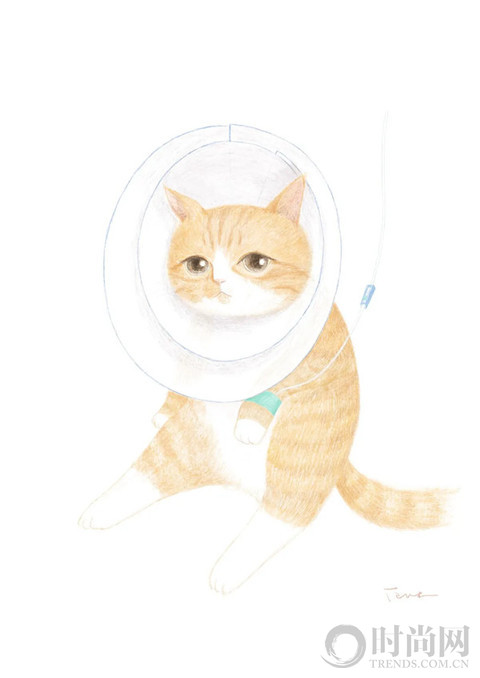 顾湘：小猫就是真善美 