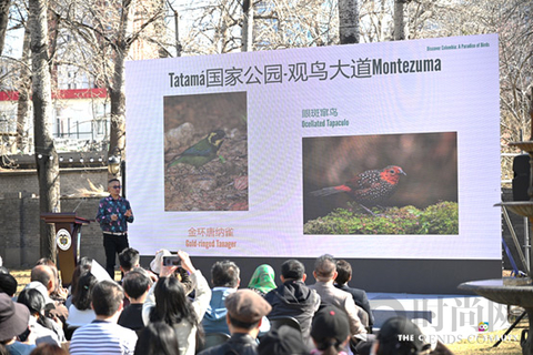 哥伦比亚线下观鸟推介会圆满落幕
