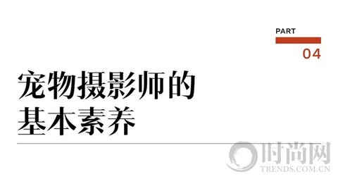 宠物摄影师克查：我与“故宫猫”的那些事儿