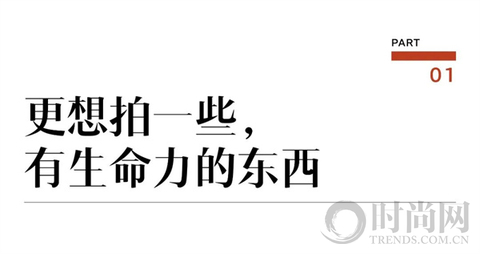 宠物摄影师克查：我与“故宫猫”的那些事儿