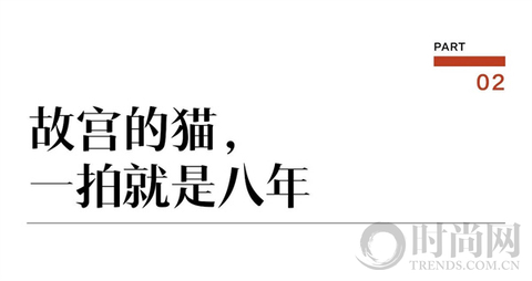 宠物摄影师克查：我与“故宫猫”的那些事儿