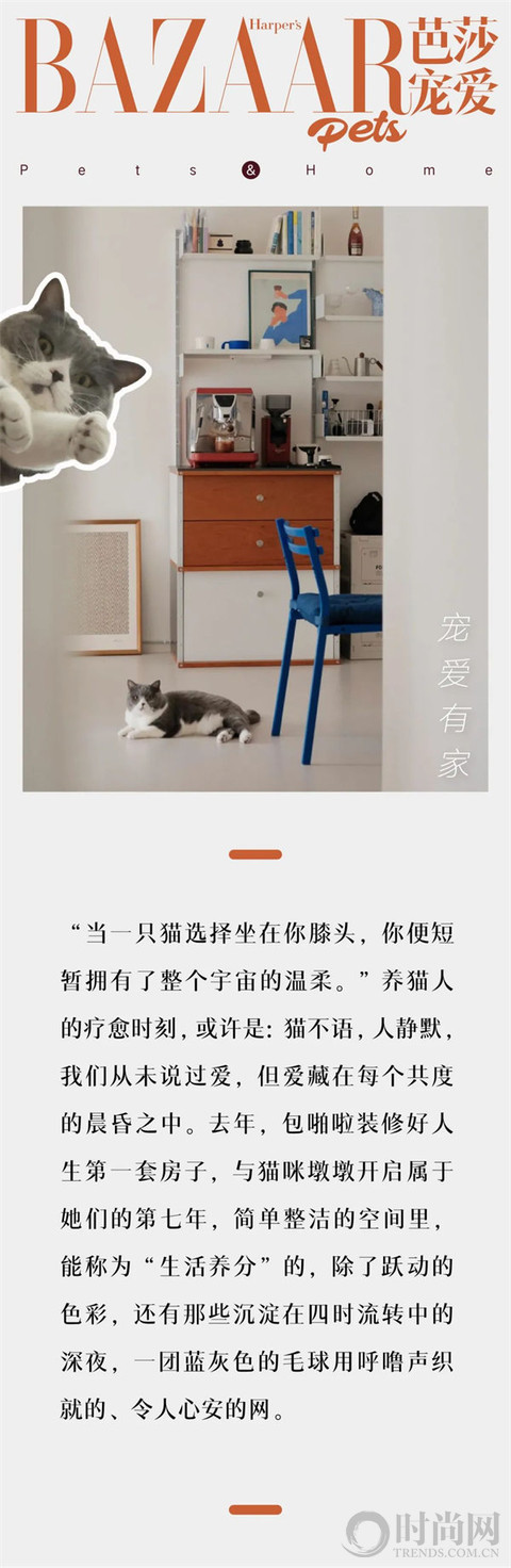 人生第一套房，给我和猫子的第七年