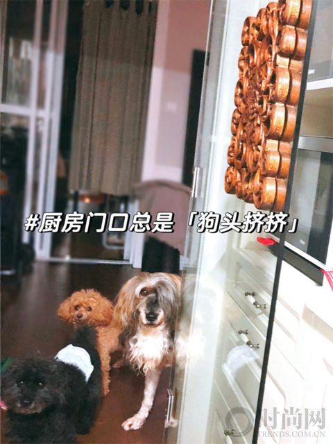  “又多活了一天，真是了不起！” 