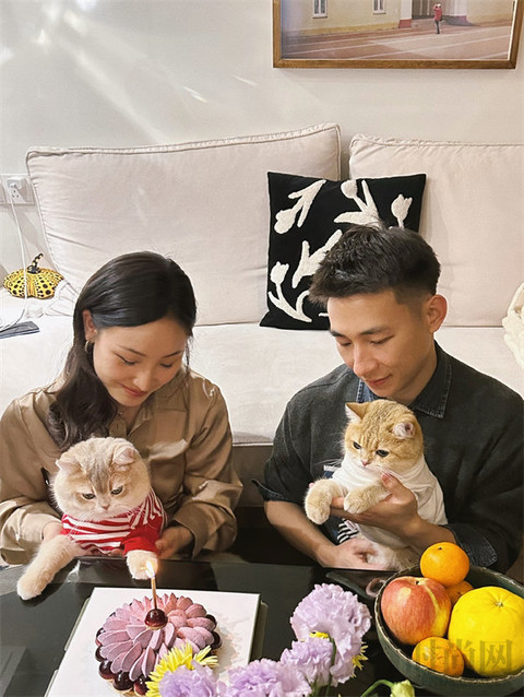 关于爱情，小猫小狗教给我们的事