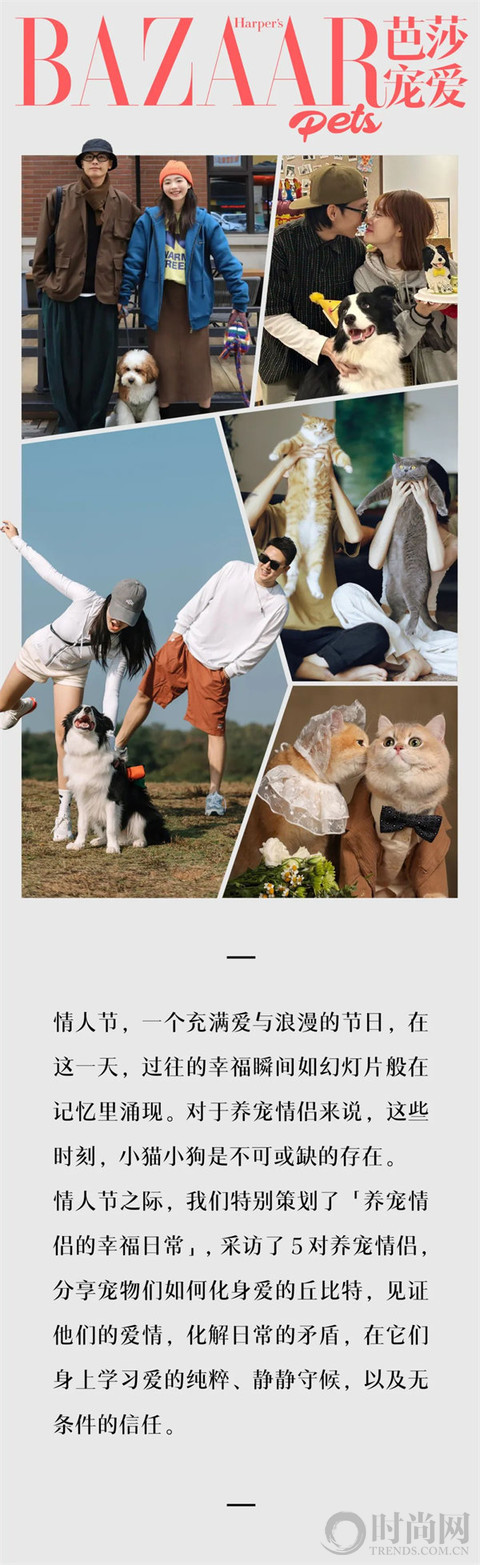 关于爱情，小猫小狗教给我们的事