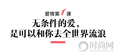 关于爱情，小猫小狗教给我们的事