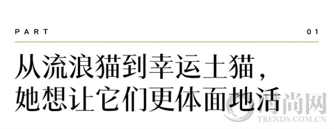 我们不再是流浪猫，而是幸运土猫