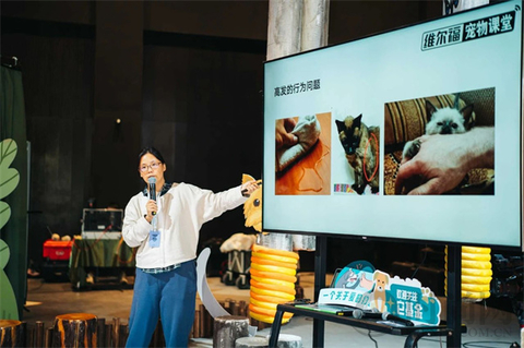 我们不再是流浪猫，而是幸运土猫