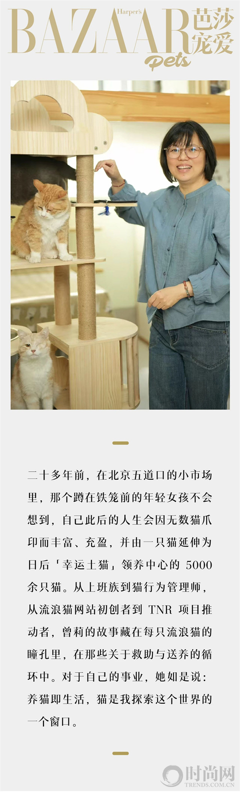 我们不再是流浪猫，而是幸运土猫