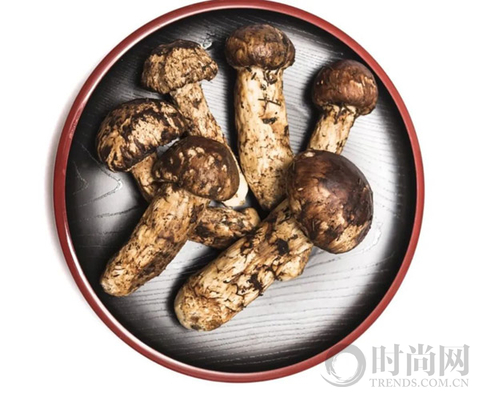 闫涛：松茸是流动的盛宴