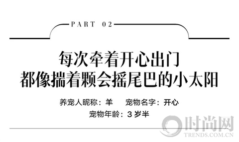 小狗带我找回了“消失的附近”