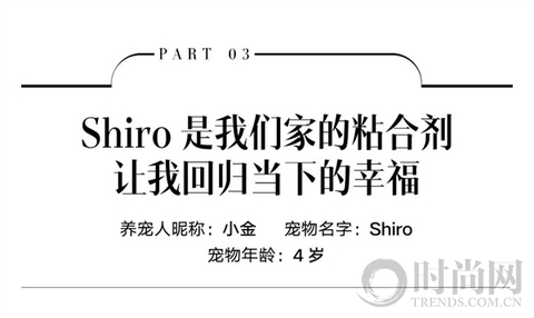 小狗带我找回了“消失的附近”