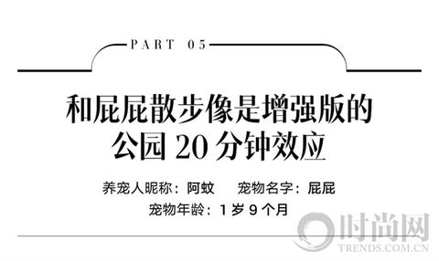 小狗带我找回了“消失的附近”