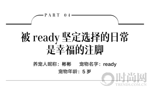 小狗带我找回了“消失的附近”