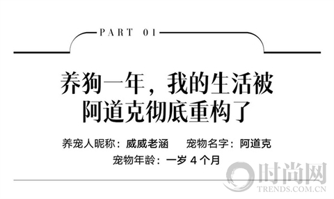 小狗带我找回了“消失的附近”
