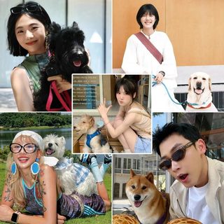 小狗带我找回了“消失的附近”